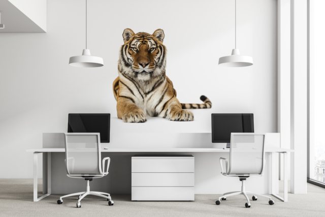 Bądź tygrysem w swoim biurze, wyróżnij się!